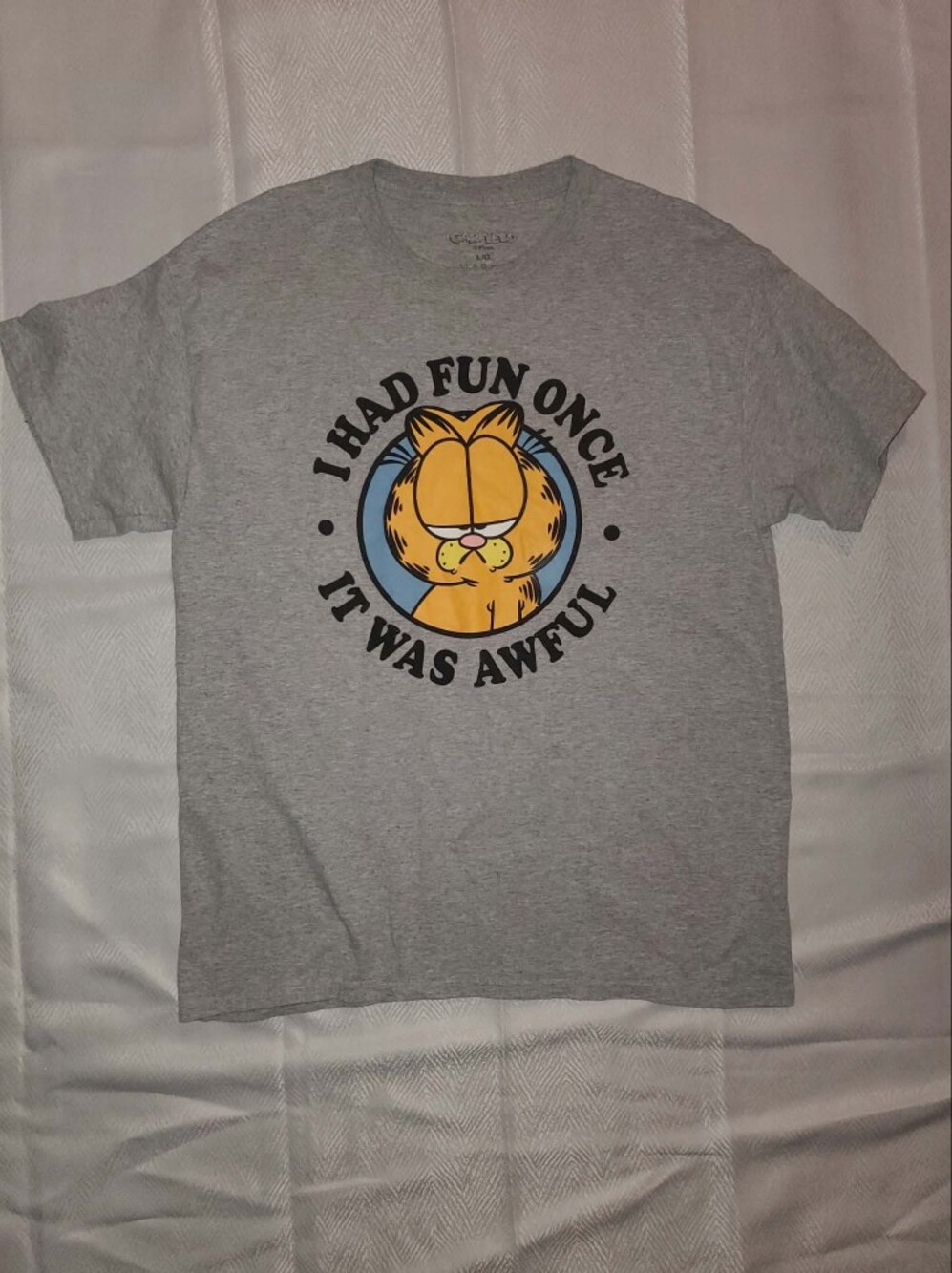 Garfield "I Had Fun Once It Was Awful" Heather Grey Graphic T-Shirt